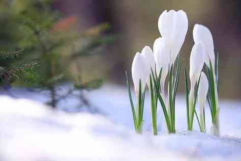 Strafzahlungen und Schadenersatz des Arbeitgebers